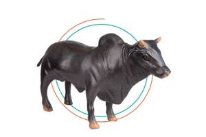 BOI PRETO DE VINIL REF-VB312