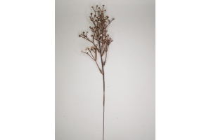 C.FRUTINHA RAMALHETE C/FITA PLT.X576 CR REF-42162004