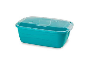 CONTAINER ORGANIZADOR 1,9 LITROS REF-8126