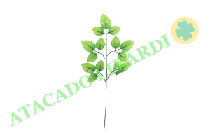 C.ROSA VERDE (FLORARTE) REF-41948001